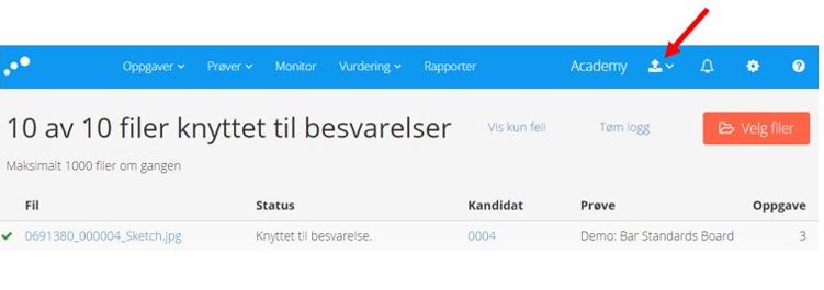 Skjermbilde456.JPG