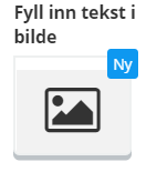 Oppgavetype_Fyll_inn_tekst_i_bilde_NO.PNG