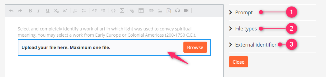The specific options for the Upload Assignment question type.