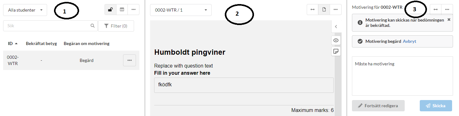Portleter_i_motivering_betyg.png