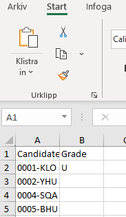 Betyg_i_Excel.png