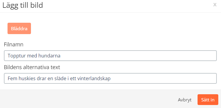 Bildens_alternativa_text.png